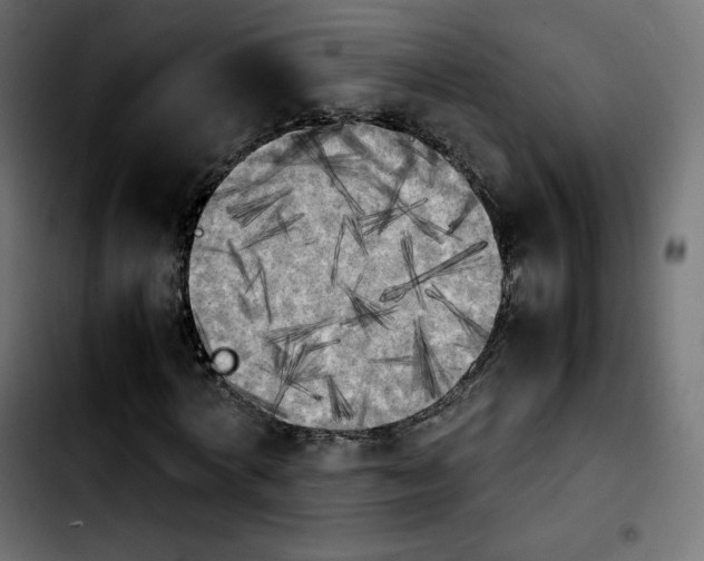 X0000103900772200810311409