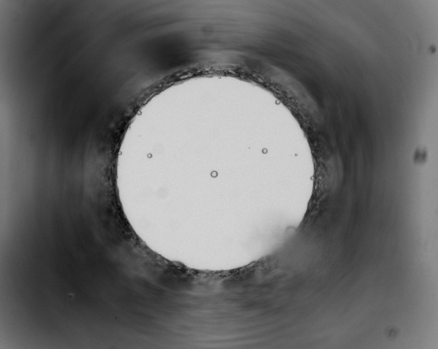 X0000103900773200810311409