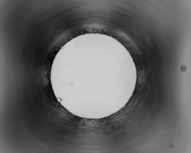 X0000103900774200810311409