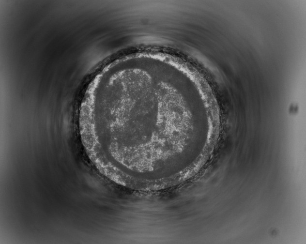 X0000103900775200810311409