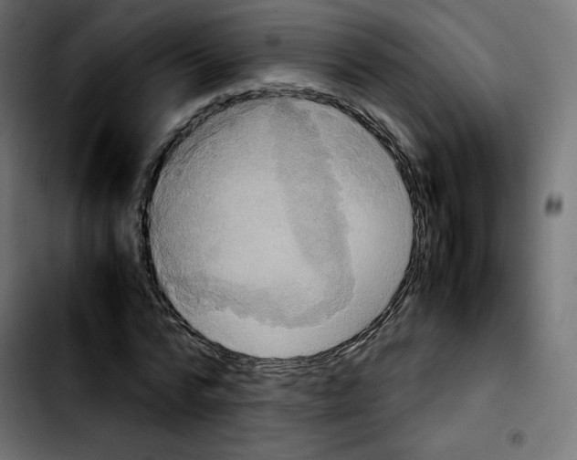 X0000103900776200810311409