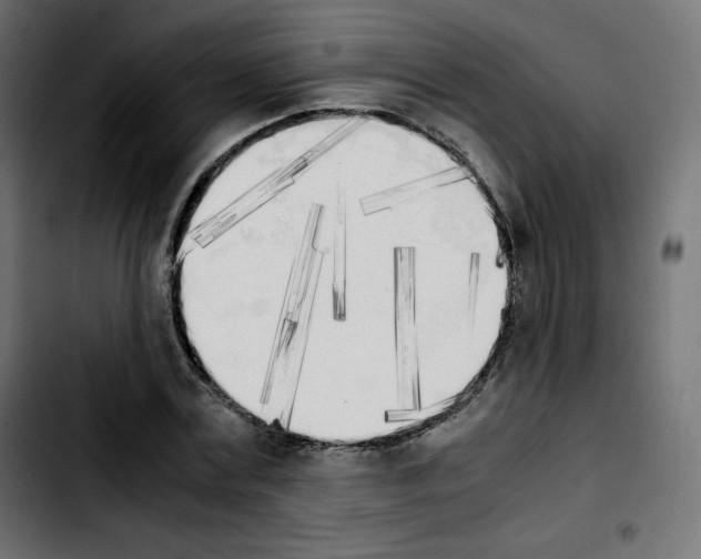 X0000103900779200810311409