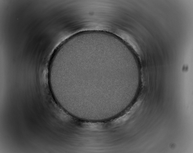 X0000103900781200810311409