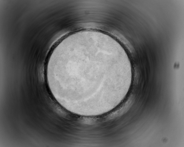 X0000103900782200810311409