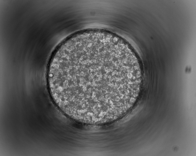 X0000103900783200810311409