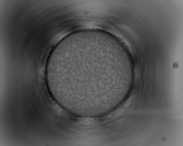 X0000103900785200810311409