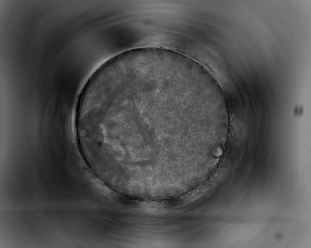 X0000103900788200810311409