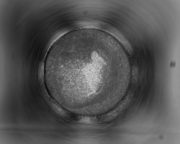 X0000103900790200810311409