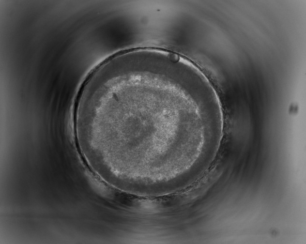 X0000103900792200810311409