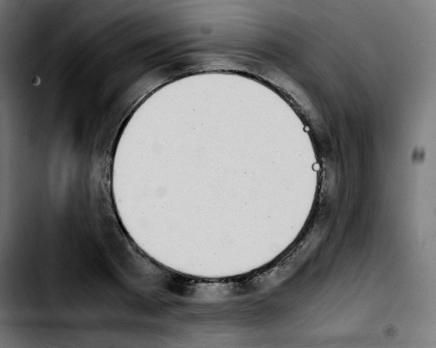 X0000103900793200810311409