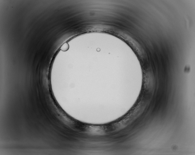 X0000103900794200810311409