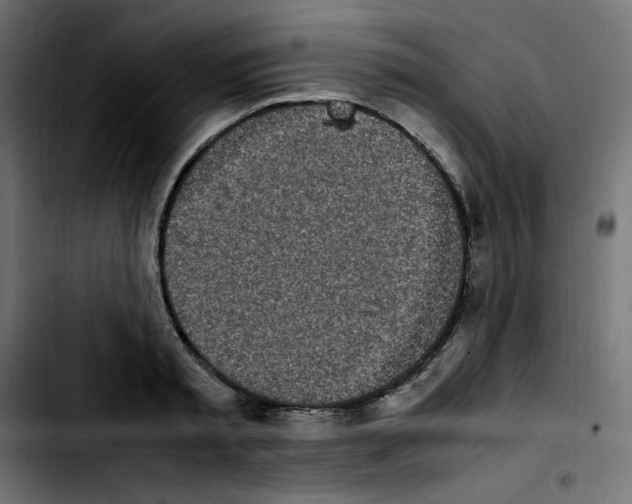 X0000103900797200810311409