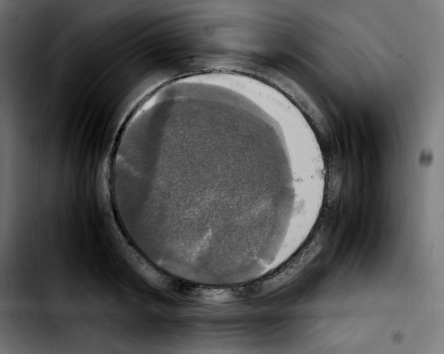 X0000103900798200810311409