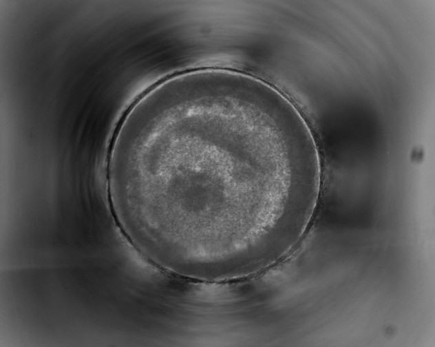 X0000103900800200810311408