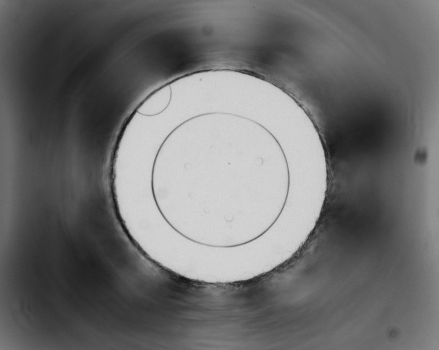 X0000103900803200810311408