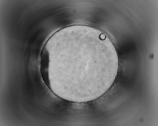 X0000103900804200810311408