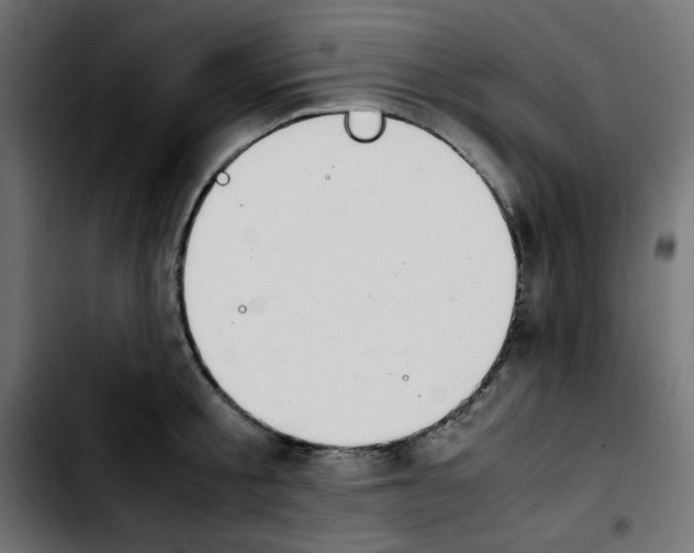 X0000103900805200810311408