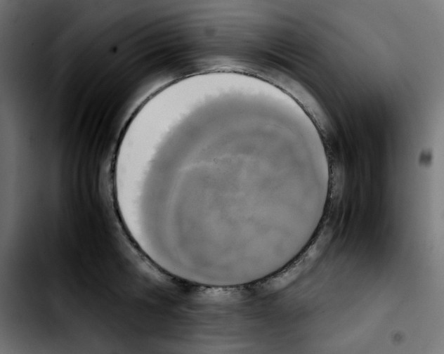 X0000103900806200810311408