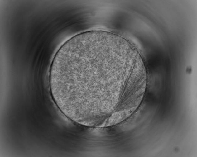 X0000103900808200810311408