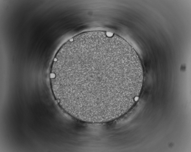 X0000103900813200810311408