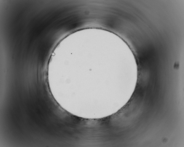 X0000103900815200810311408