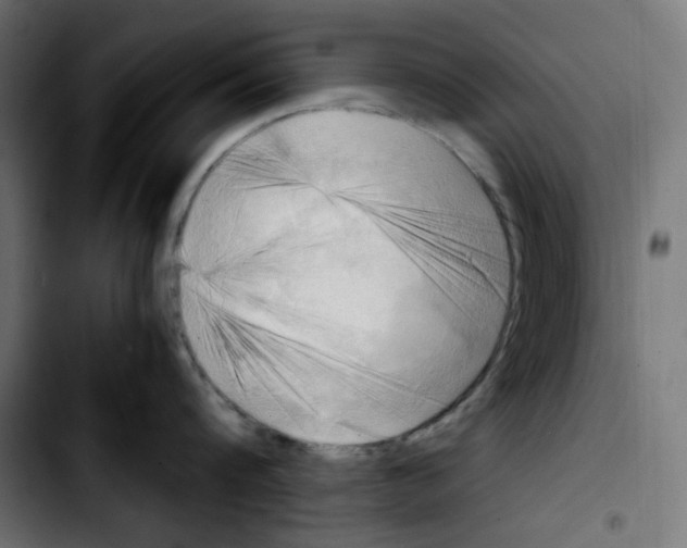 X0000103900816200810311408