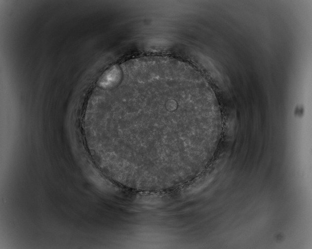 X0000103900817200810311408