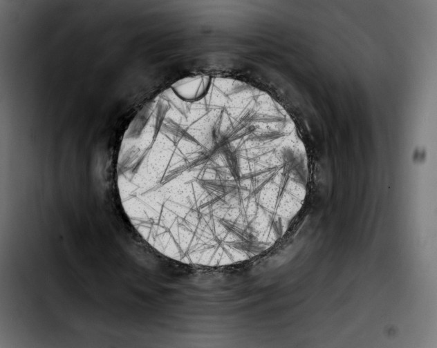 X0000103900818200810311408