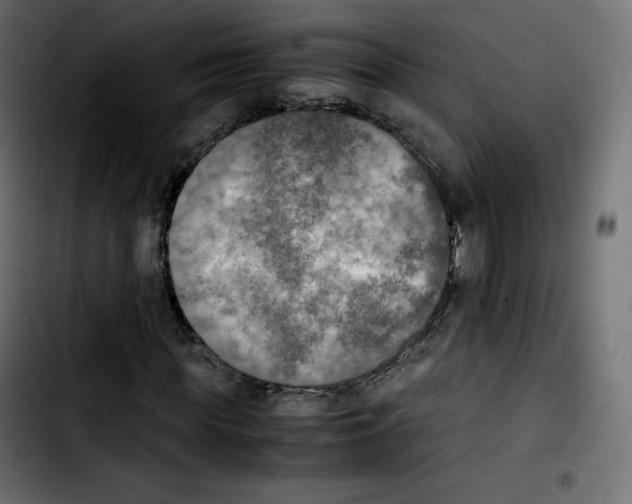 X0000103900819200810311408