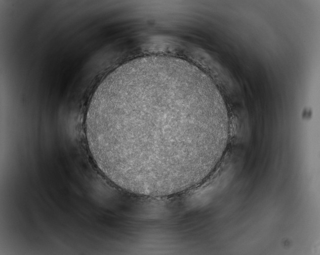 X0000103900820200810311408