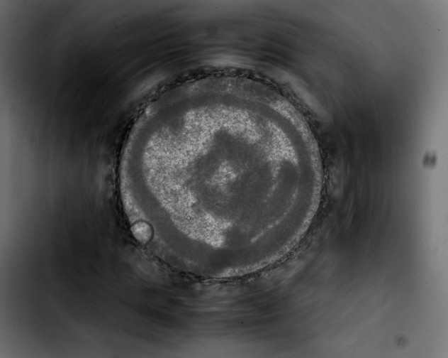 X0000103900821200810311408