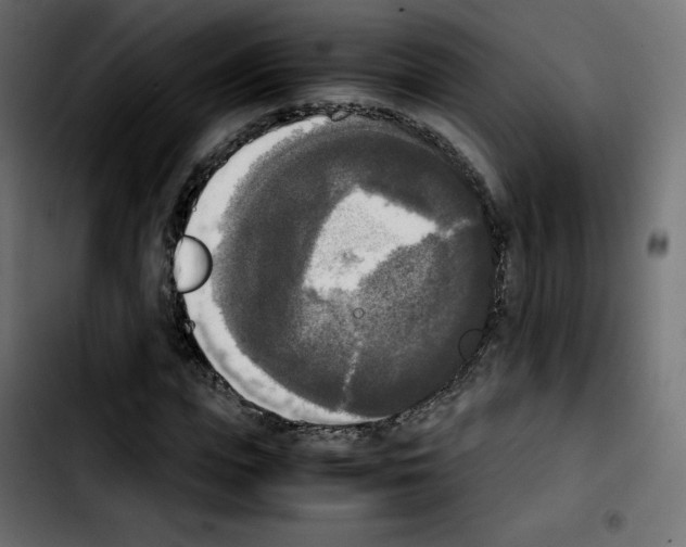 X0000103900823200810311408