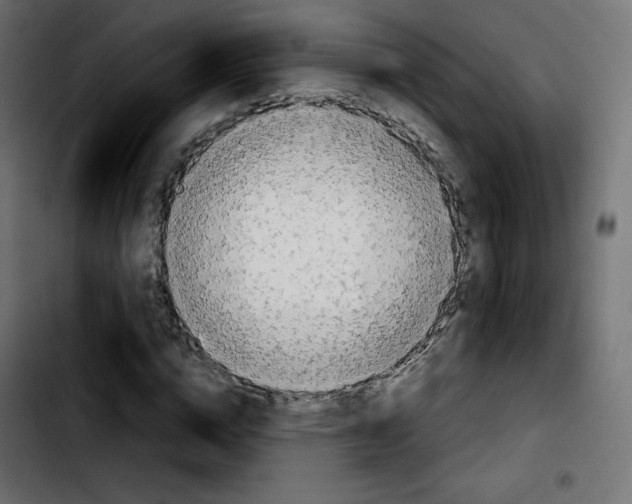 X0000103900824200810311408