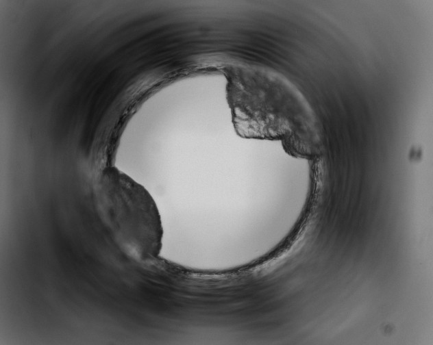 X0000103900825200810311408