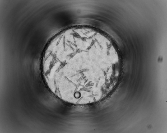 X0000103900826200810311408