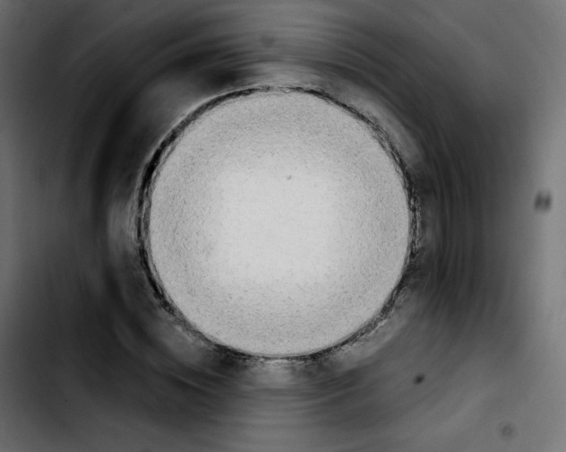 X0000103900828200810311408