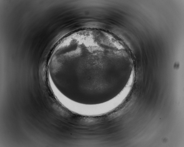 X0000103900829200810311408