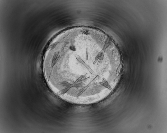 X0000103900830200810311408