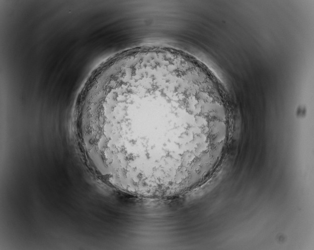 X0000103900832200810311408