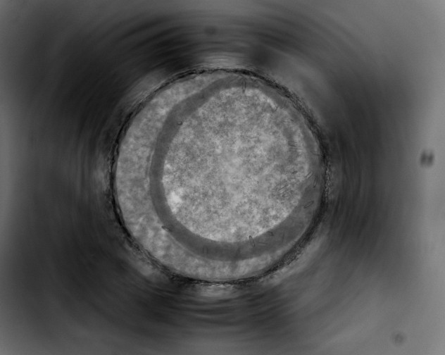 X0000103900833200810311408