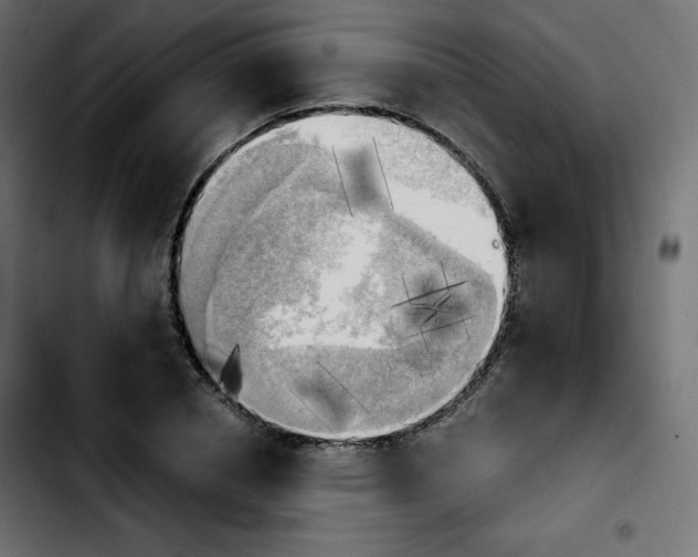 X0000103900834200810311408