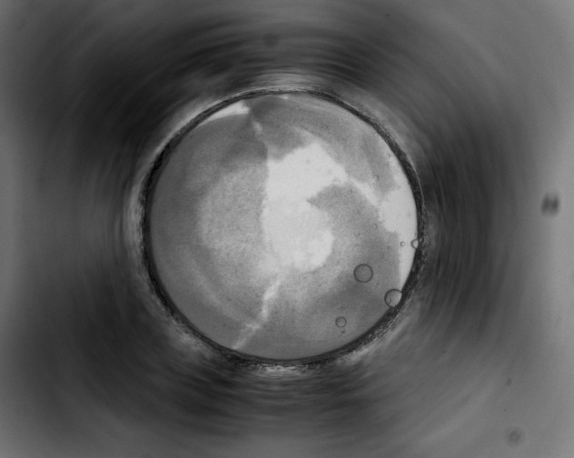 X0000103900835200810311408