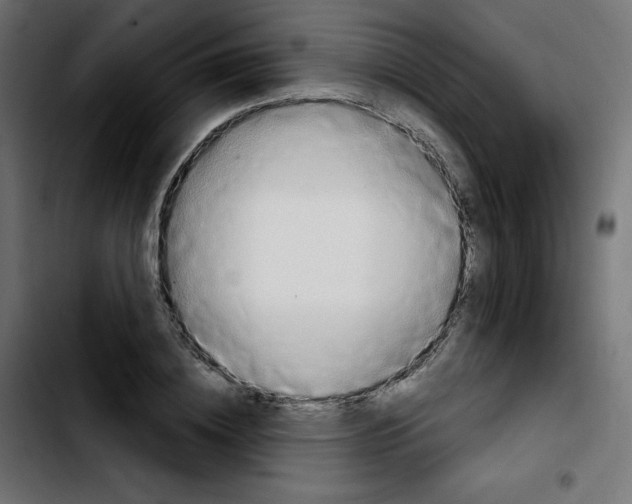 X0000103900836200810311408