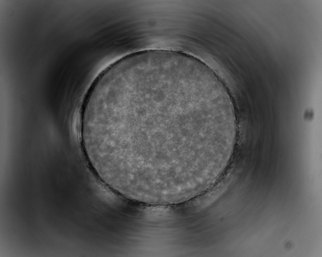 X0000103900838200810311408