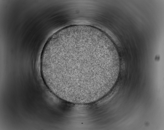 X0000103900840200810311408