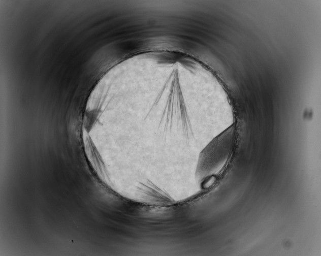 X0000103900841200810311408