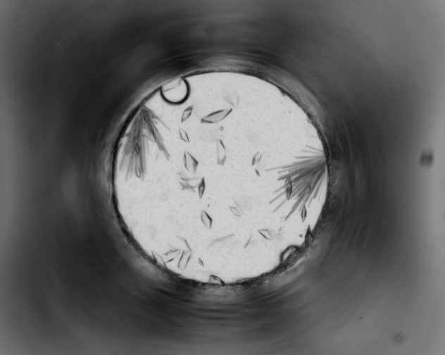 X0000103900843200810311408