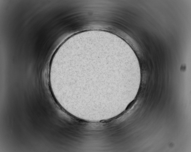 X0000103900844200810311408