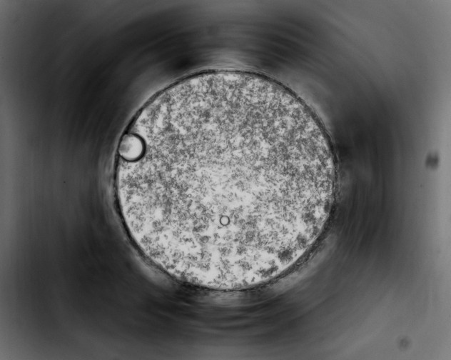 X0000103900845200810311408