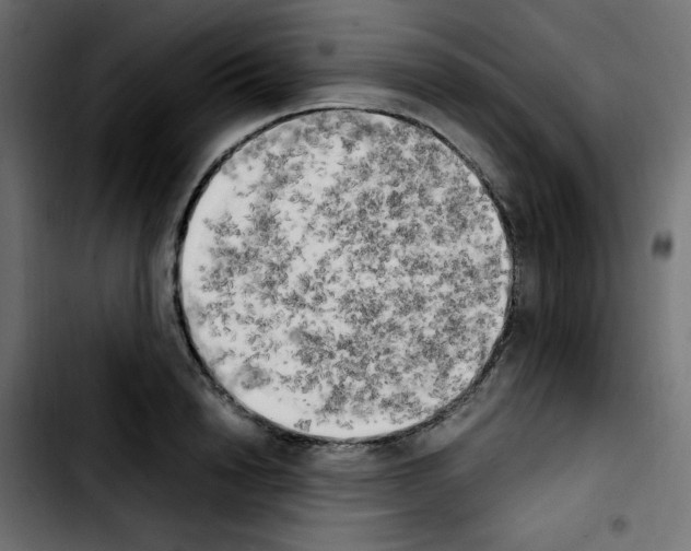 X0000103900846200810311408